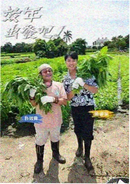 荒野食堂 综艺节目在线观看完整版